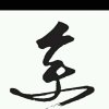 鱼迎游的头像