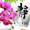 靜艷的头像