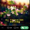 温柔的微笑的头像