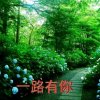 白鸽贵族集团《安稳的家》的头像