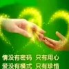 飞哥的头像
