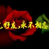 爱穿越的头像