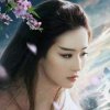 若颜的头像