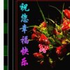 Aj驿站乐园的头像