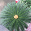Zsh的头像