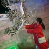 唯美之家枫叶的头像