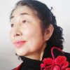中国梦停唱的头像