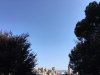 那年桂花开的头像