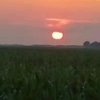 最美不过夕阳红的头像