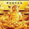 阿弥陀佛的头像