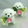 雨后灿烂的阳光  的头像
