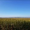 霸气的头像