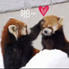 瞬間、遺落(~的头像