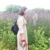 随遇而安暂停的头像