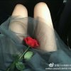 阿狸的头像