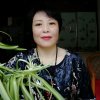 木兰花 (有访必回)的头像