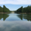 今生有你JRF的头像