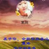 紫荆的头像