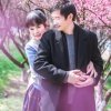 香芋~忆的头像
