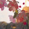 她说万幸得以相识。的头像