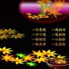 心碎了無痕的头像