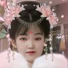 闲云野鹤的头像