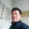 自由飞翔的头像