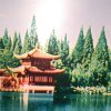 心想事成的头像