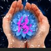 浅笑/安然的头像