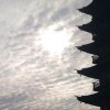 以后的以后的头像