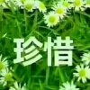 撇奈人生的头像