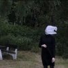 一只甜猫的头像