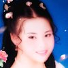 弘毅丽[重雪山雄鹰12]的头像
