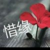 平凡的头像