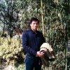 温暖的阳光的头像
