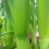 幸福家园的头像