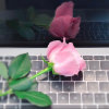 杜°文青࿐的头像
