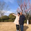 蝴蝶的头像