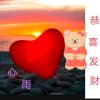 心雨的头像