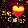 温心的头像