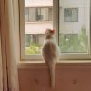 ♚晶晶的头像