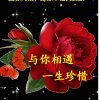 不再全民的头像