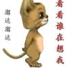 海燕风的头像