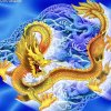 天下飞龙的头像