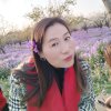芳草实力的头像