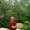 雪儿音乐359永恒（老李）的头像