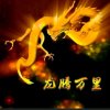 铂金的头像