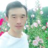 自由翱翔的头像
