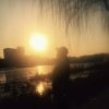 陆武的头像