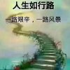 琴的头像
